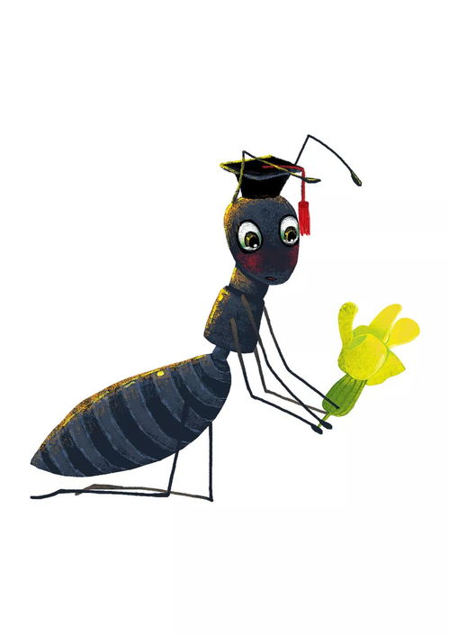 脚下的王国 小区花坛里藏着亿万年的文明